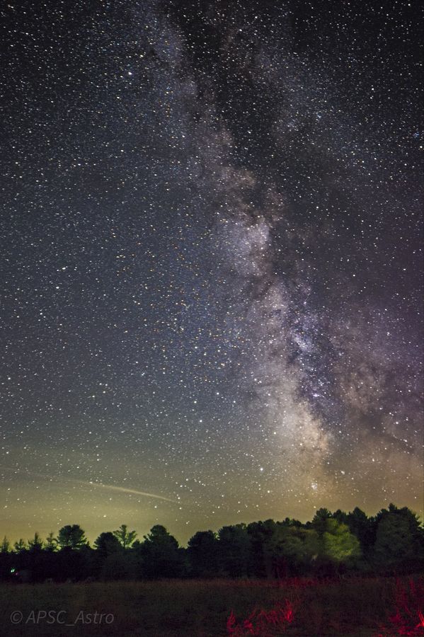 The Milky Way rising above a dark treeline