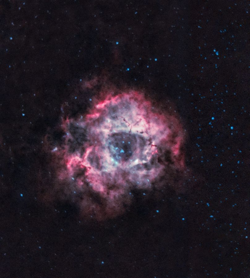 The Rosette Nebula, a pink ring of gas around a central star cluster
